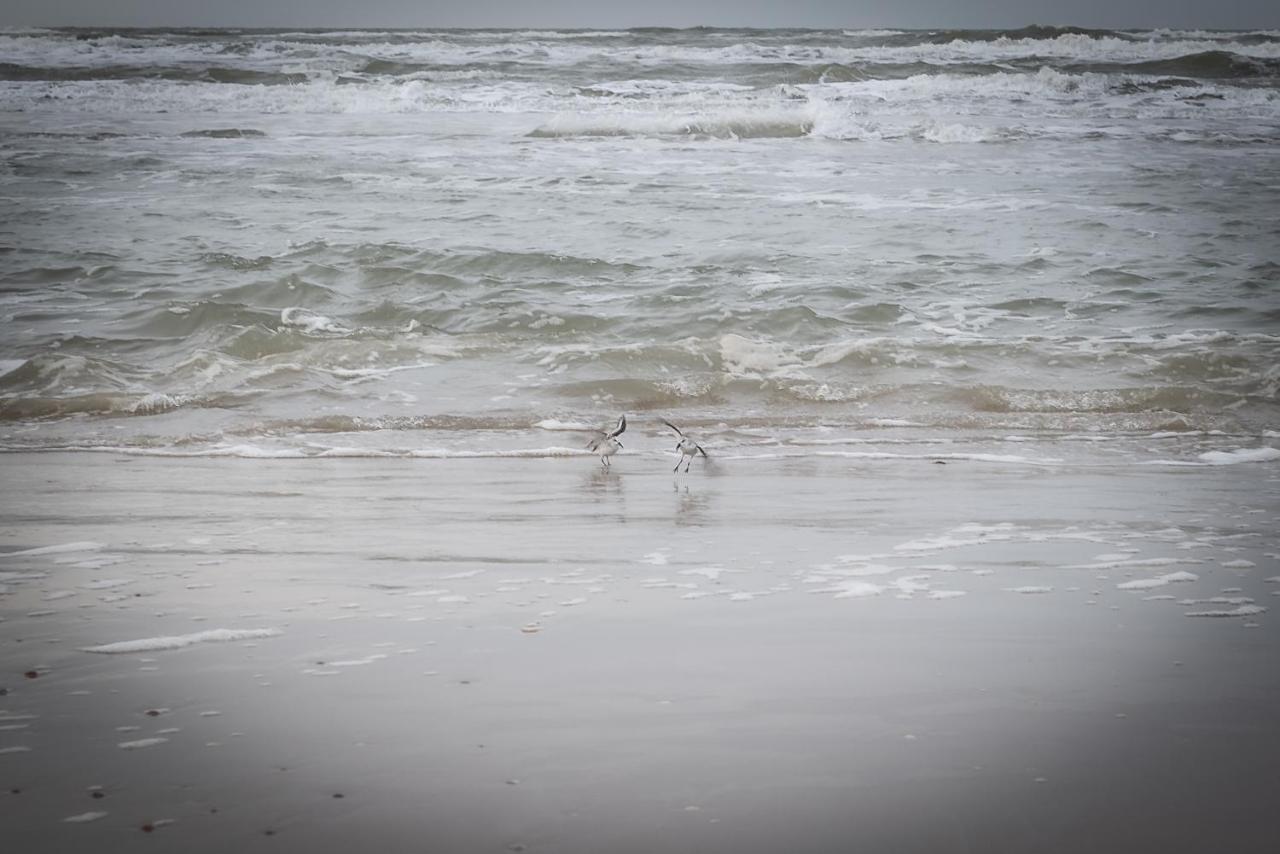 Ferienwohnung Huize Mare Bergen aan Zee Exterior foto